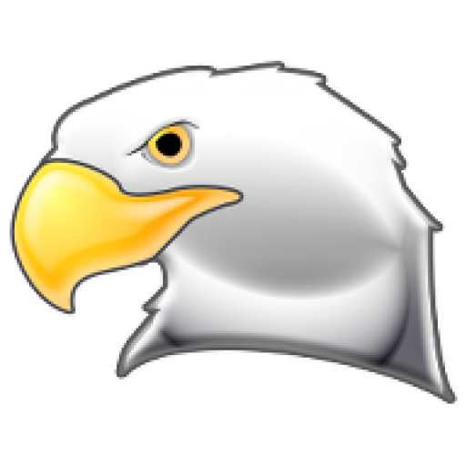 EagleTeam gravatar