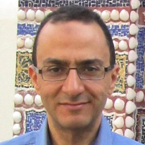 WaelHallag gravatar