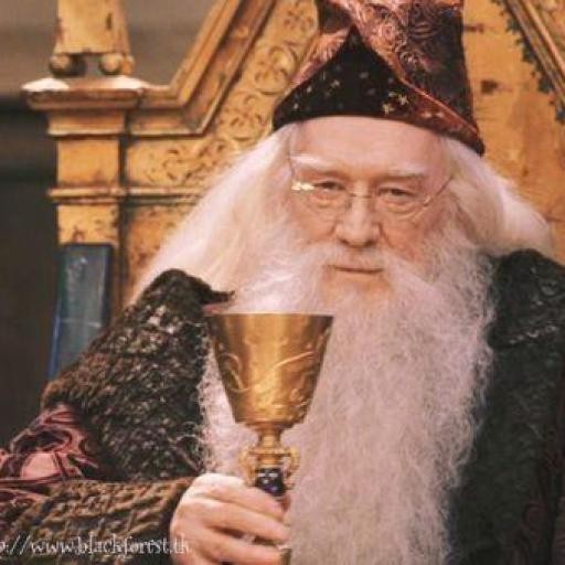 dumbledore gravatar